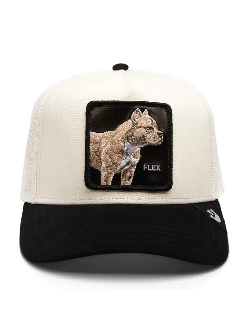 baseball flex