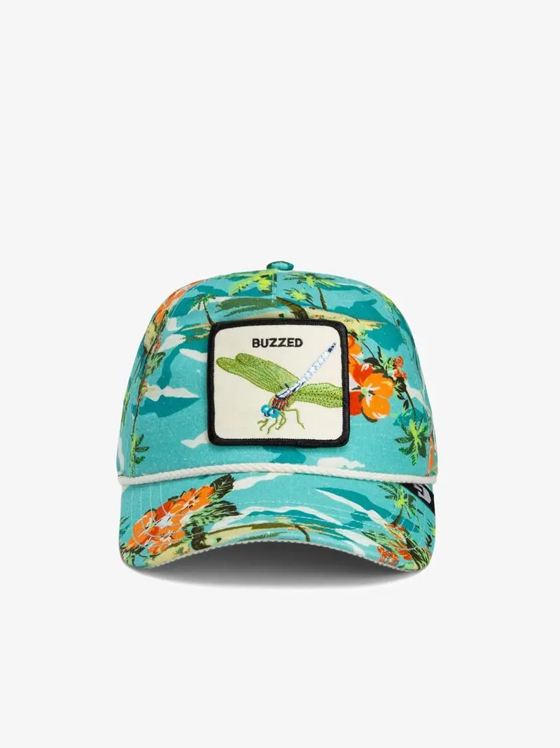 cappellino buzzed