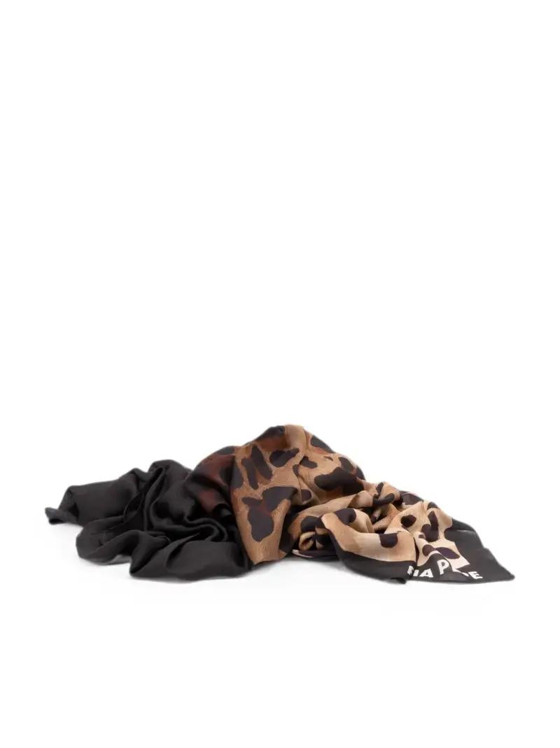 pashmina in modal