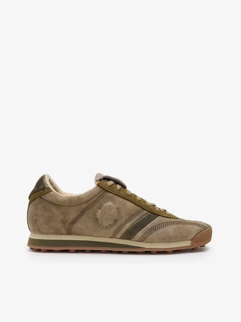 sneakers stardast