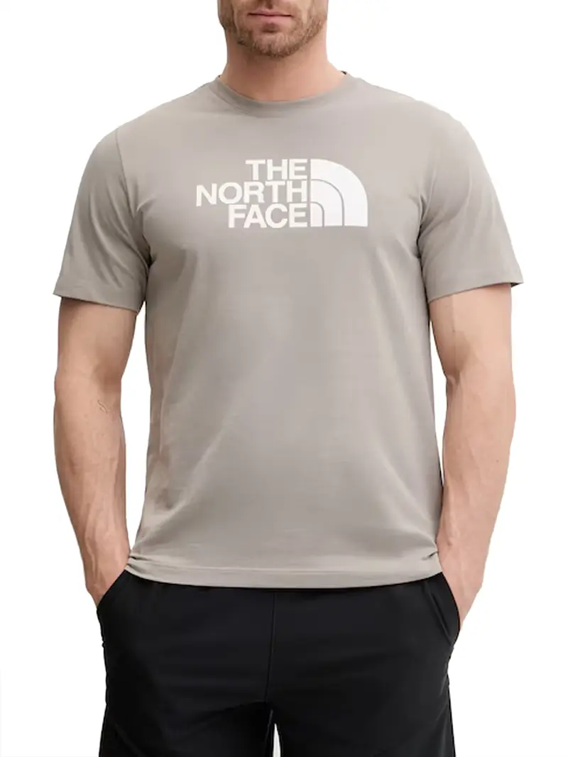 T-Shirt Evolution Half Dome Regular The North Face - Grigio/Beige